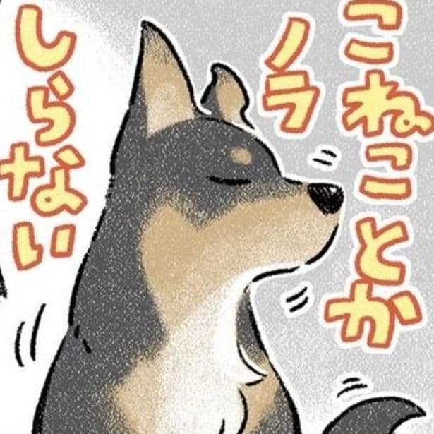 自分が拾ってきたのに知らんぷり!?