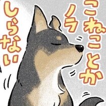 我が愛犬はすぐ子猫を拾ってくる!!飼い犬が拾ってきたズブ濡れの子猫は「震えていた」！犬と猫に囲まれた暮らしに感動【作者に聞く】