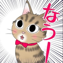 【ネコ漫画】「うちの子はイケメン！」保護猫に一目惚れして同居。腕枕で眠る姿も愛おしい…毎日が宝物になる猫との暮らし【作者に聞く】