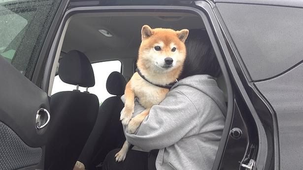 今度は車でお散歩へ!