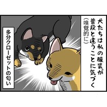 愛犬のお世話にロングスカートは「絶対NG」？→子犬の“ファッションチェック”のまさかの代償【作者に聞く】