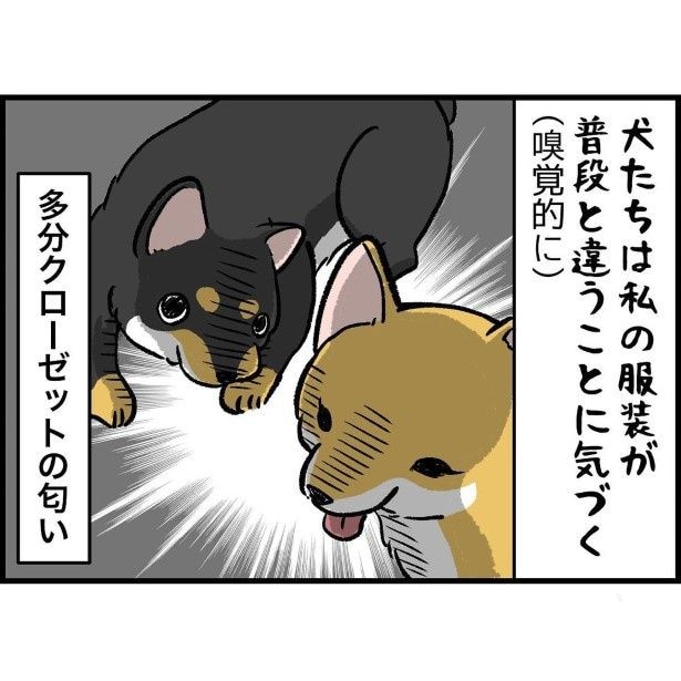 愛犬のお世話にロングスカートは「絶対NG」?→子犬の“ファッションチェック”のまさかの代償【作者に聞く】
