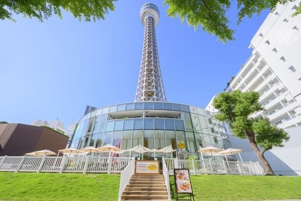横浜の景色を360度見渡せる横浜マリンタワー。7月限定でピーターラビットのフォトスポットが登場する