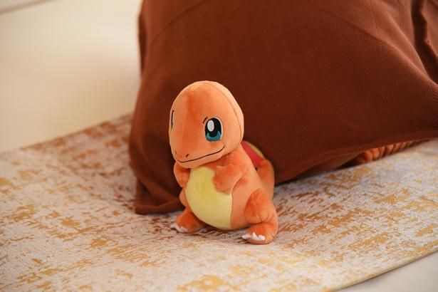 リビングルームでヒトカゲを発見！