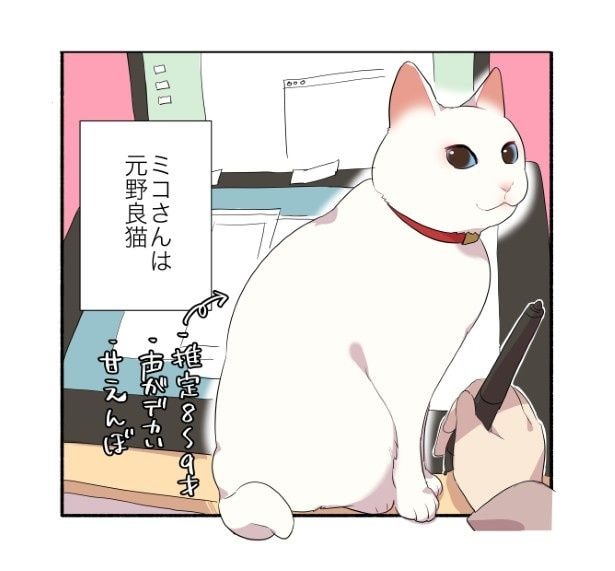 猫を飼うと地震が頻発する話