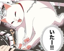 【ねこ漫画】猫を飼うと地震が頻発する!?ガタガタガタ…「わっ地震だ!!猫はどこ？」震源地はまさかの“猫”だった【作者に聞く】