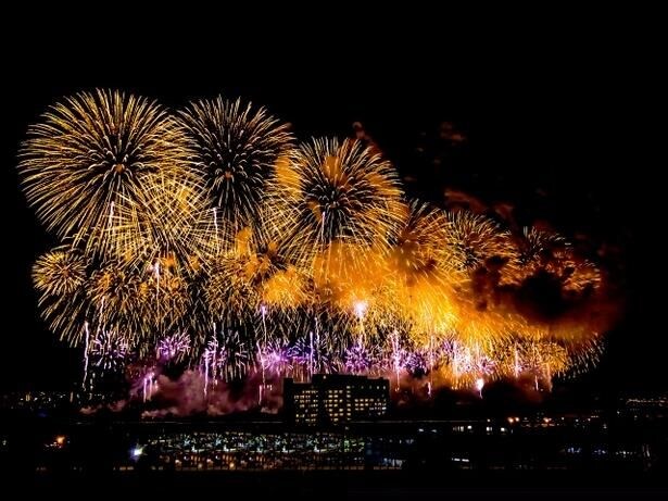 まるで空一面から花火が降ってくるように美しい長岡花火