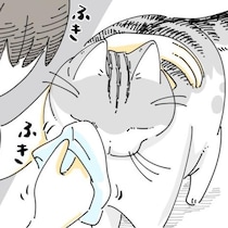 【ネコ漫画】飼い主に目やにを取ってもらう愛猫!?その姿に「めっちゃわかります！」など共感コメント多数