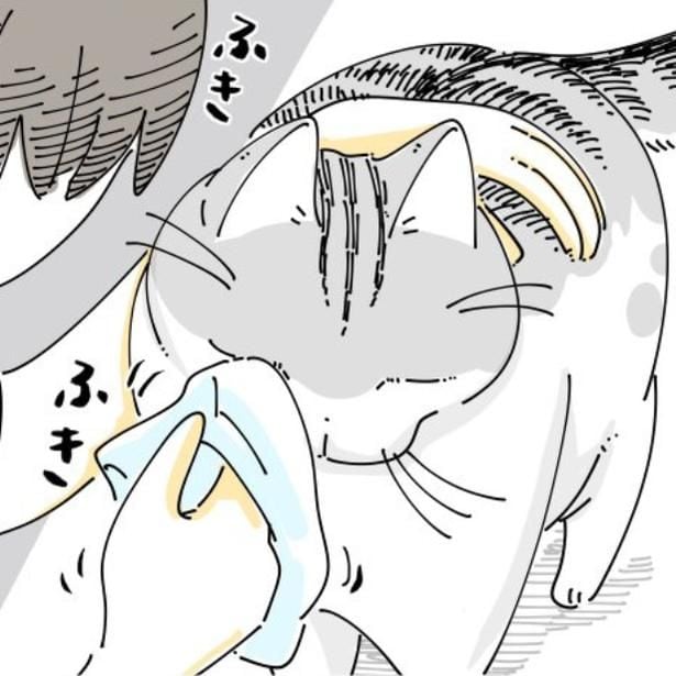 【ネコ漫画】飼い主に目やにを取ってもらう愛猫!?その姿に「めっちゃわかります！」など共感コメント多数