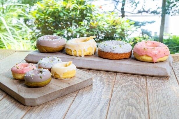「ホーカスポーカス」と「鰻 北白川」がコラボした限定「夏の土用ドーナツ」。2026年7月20日(祝)〜8月6日(木)の期間限定で登場する