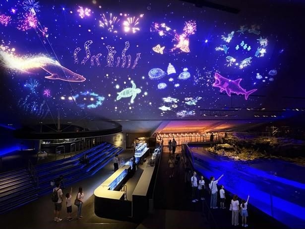 すみだ水族館の天井に花火が打ち上がる!「すみすい花火2026」開幕、100個のクラゲ風鈴の回廊も