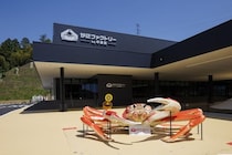 日本初のカニに特化したオープンファクトリーが誕生！ 見て・食べて・体験してカニをもっと身近に