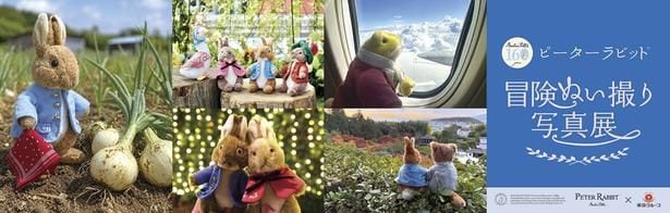 車内を彩る「冒険ぬい撮り写真展」