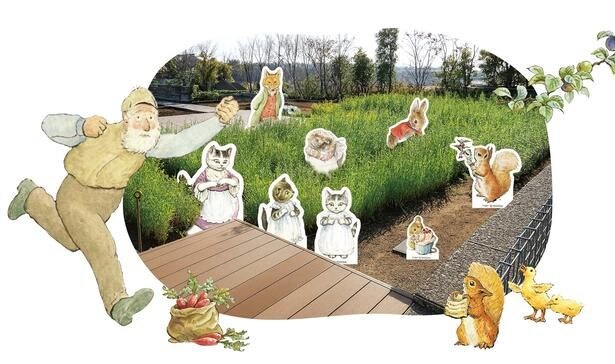 ルーフガーデンに出現する「マグレガーおじさんの畑」。2026年9月5日(土)には夏野菜の収穫体験も