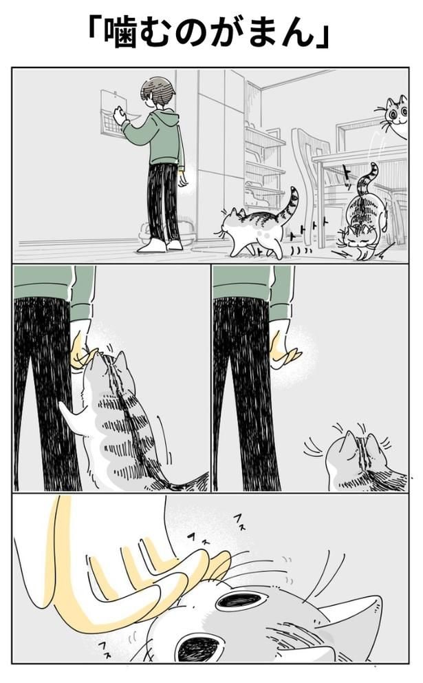 「噛むのがまん」01