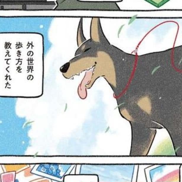 念願叶って飼うことができた、ドーベルマンの「ドベ」。