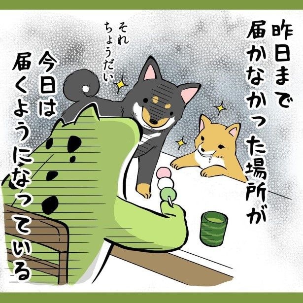 犬との暮らしで子育てとちょっと似てるなぁと思うこと3_P005