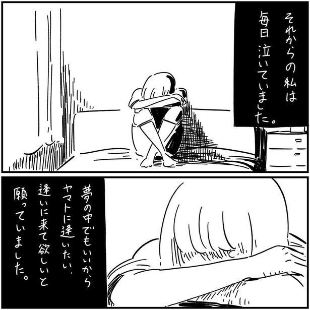 猫のヤマト(4)