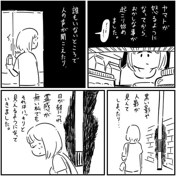 猫のヤマト(7)