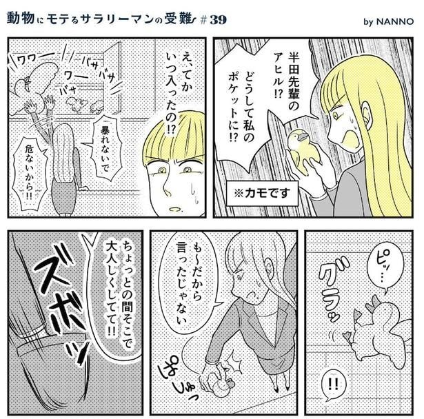 動物にモテるサラリーマンの受難(104)