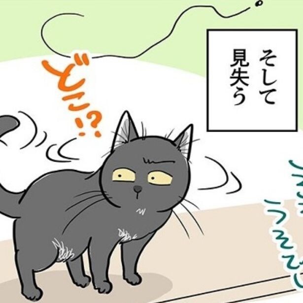 【ねこ漫画】飛ぶ虫相手に猫はどうする?「うそでしょ!?」3匹の猫たちのそれぞれの反応に「かわいすぎる」の声【作者インタビュー】