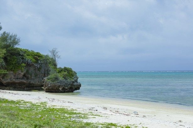 この今帰仁の浜を吹き抜ける潮風を、在りし日の“千代金丸”も感じたのだろうか?