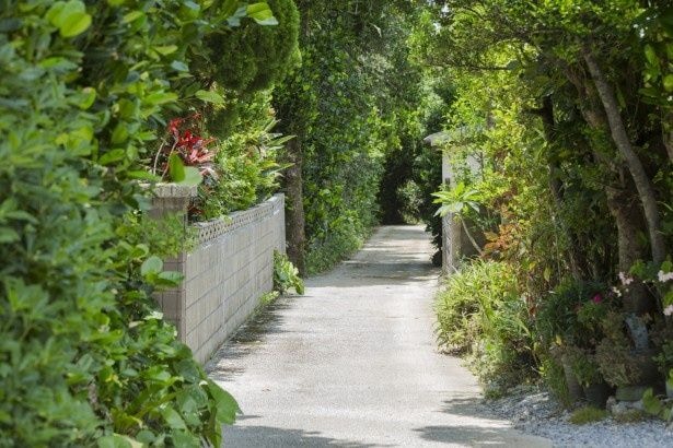 集落の家々にはフクギが植えられ、小道の両側は緑色に彩られている