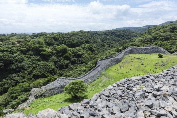 頂まで登ると、眼下にやんばるの森が広がっていた