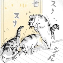 【ネコ漫画】部屋に入りたくてドアにスリスリする愛猫!?その姿に「この現象とってもわかる」など共感コメント続出