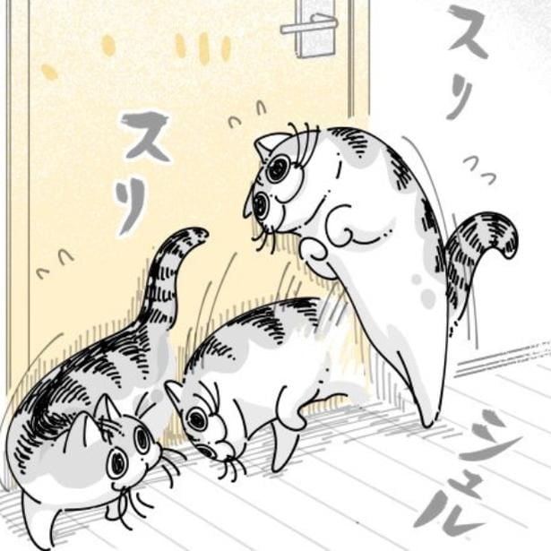 【ネコ漫画】部屋に入りたくてドアにスリスリする愛猫!?その姿に「この現象とってもわかる」など共感コメント続出