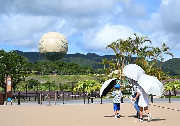 自然豊かなジャングリア沖縄。巨大気球では絶景を楽しめる