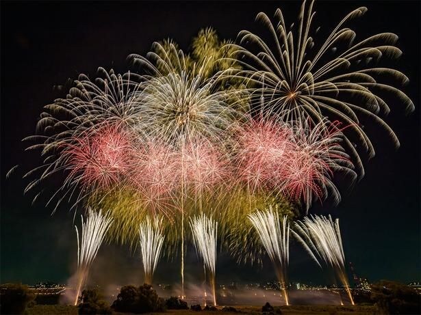 「いたばし花火大会」色とりどりの大輪が夜空に咲き誇る圧巻の光景