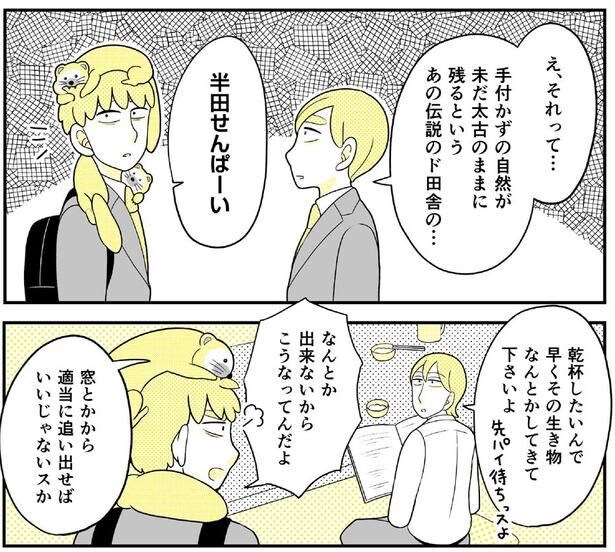 動物にモテるサラリーマンの受難(164)