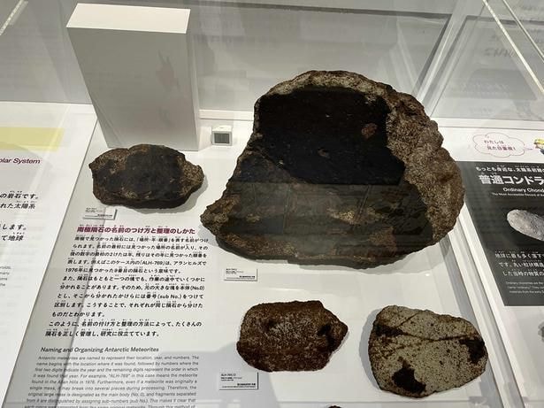南極で見つかった隕石。ALH-769,7、ALH-769,2、ALH-769,13、ALH-769,11(国立極地研究所 所蔵)