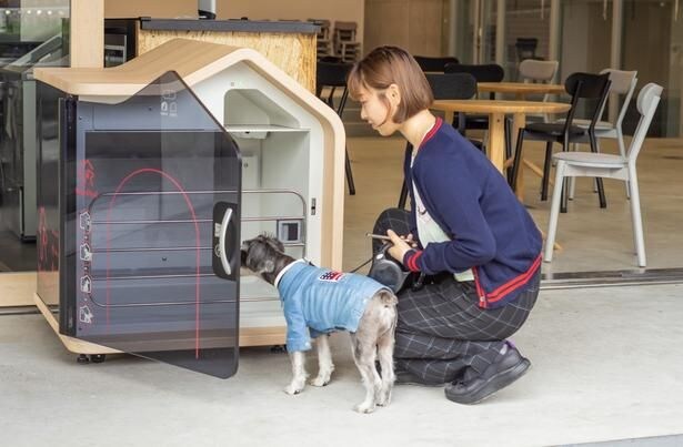 愛犬を守る、おでかけの新常識!“ちょっと預かり”スマートドッグハウス「WanPod」御殿場や那須に登場