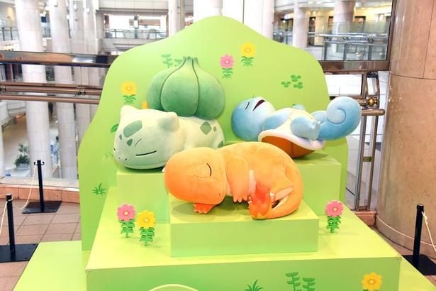 気持ちよさそうに眠るヒトカゲ、ゼニガメ、フシギダネのフォトスポット