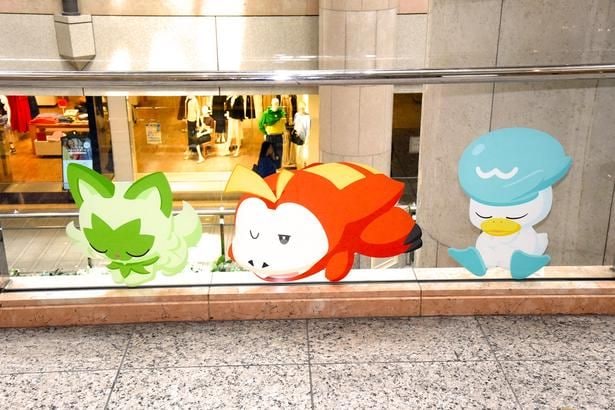 ホゲータ、クワッス、ニャオハの眠っている姿