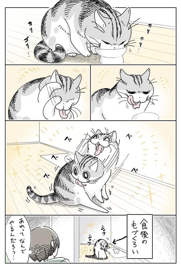 『食後エチケット』01