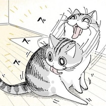 【ネコ漫画】食後に毛づくろいする愛猫!?その仕草に「見てるだけで癒やされました」など共感コメント多数