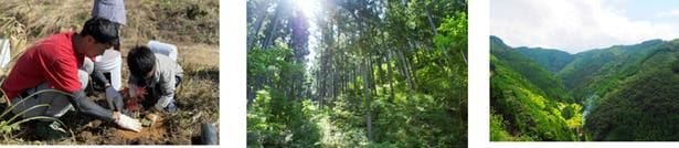 一般社団法人more treesは国内外27カ所で森の保全活動を行う森林保全団体。購入金額の一部が日本の森林づくりに役立てられる