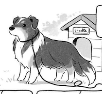 「台風の前は、全部しまえ」犬や猫と暮らす飼い主へ。台風の日に庭を見ると「愛犬が吹き飛ばされそうに」【作者に聞く】
