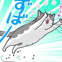 【ねこ漫画】「猫は氷が嫌い」…なはずなのになせか首を突っ込む猫！好奇心と苦手の間で翻弄される姿にほっこり【作者インタビュー】