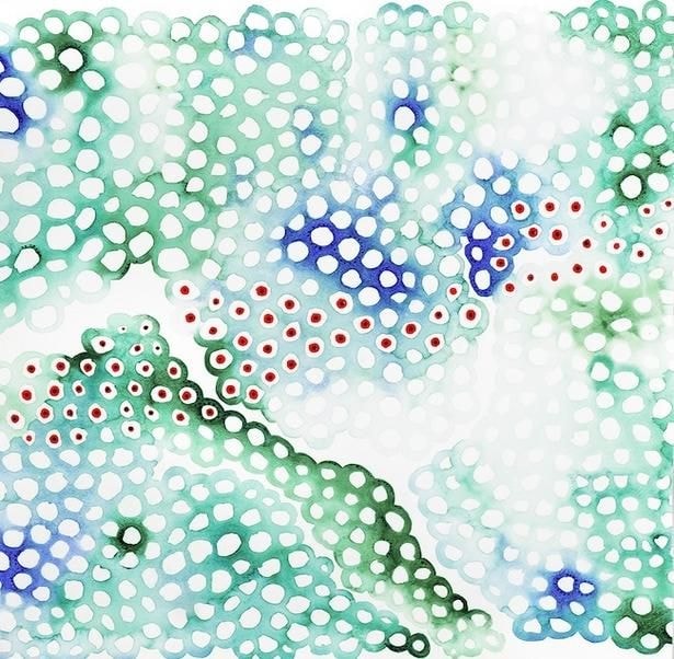 【写真】“見えないつながり”を描く「Cells(細胞)」シリーズ