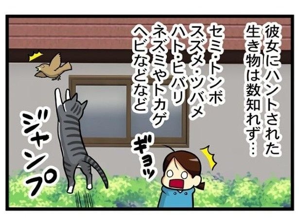 飛ぶ鳥も落とす勢いとはこのこと？