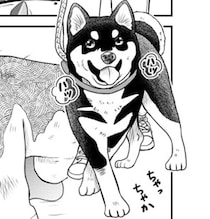 飼い主をかばって命を落とした愛犬…翌朝なぜか「全裸の男」が出現？外で読んではいけない異色の感動作【作者に聞く】