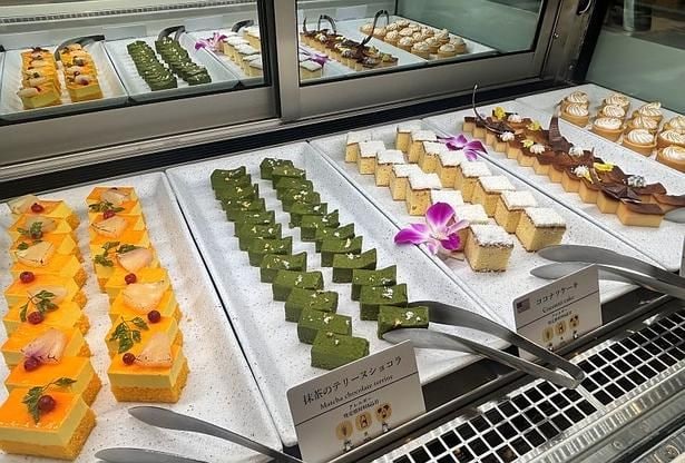 「オレンジとパイナップルのガトー」、「抹茶のテリーヌショコラ」などカラフルなスイーツが並ぶ