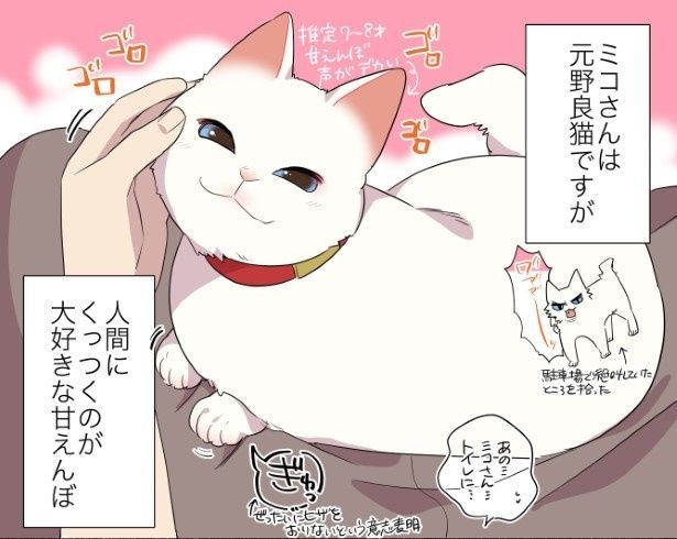 甘えんぼ猫ならではのイタズラをされた話
