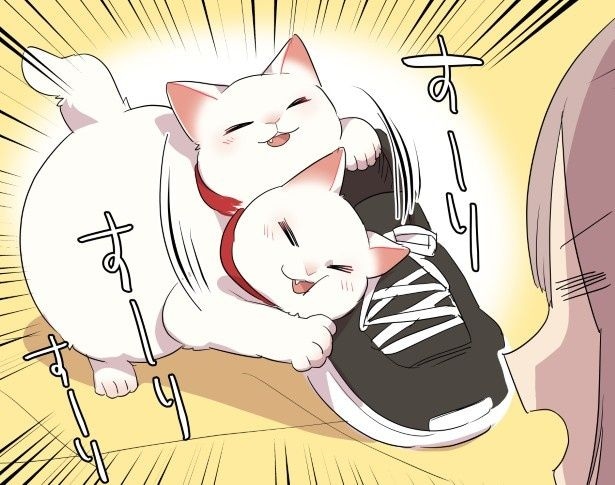 激しく靴にスリスリをしている猫