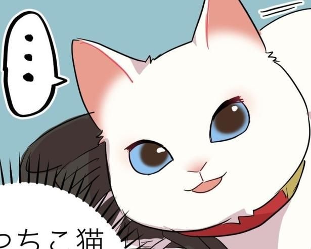 【ねこ漫画】猫も「やべ」という顔をする!?イタズラが見つかったときの猫の表情がやばすぎる【作者に聞く】