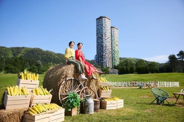 【写真】とうきびで装飾されたファームエリア